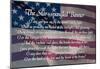 Star-spangled Banner Lyrics Poster-null-Mounted Poster