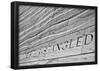 Star Spangled Banner Washington DC-null-Framed Poster