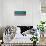 Star Spangled-Cindy Thornton-Mounted Premium Giclee Print displayed on a wall
