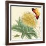 Star Thistle-Louis Van Houtte-Framed Art Print