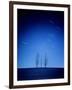 Star Tracks and Trees-null-Framed Photographic Print