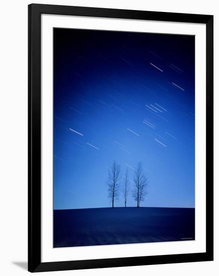 Star Tracks and Trees-null-Framed Photographic Print