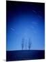 Star Tracks and Trees-null-Mounted Photographic Print