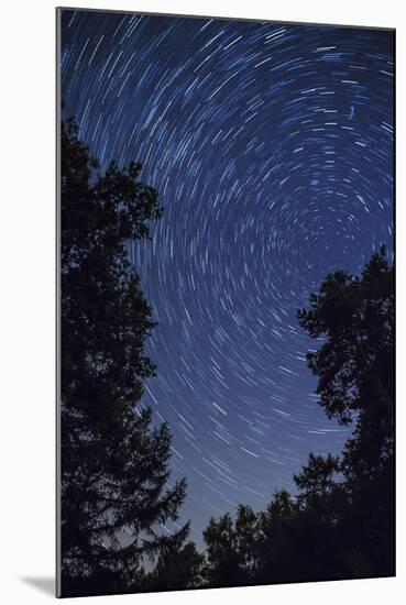 Star Trail with Burning Vapour from a Perseid Meteor, Netherlands, Europe-Mark Doherty-Mounted Photographic Print