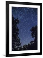 Star Trail with Burning Vapour from a Perseid Meteor, Netherlands, Europe-Mark Doherty-Framed Photographic Print