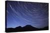 Star Trail with South Sister Mountain, Oregon, USA-Jamie & Judy Wild-Stretched Canvas