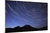 Star Trail with South Sister Mountain, Oregon, USA-Jamie & Judy Wild-Mounted Photographic Print