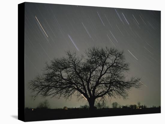 Star Trails, 20 Minutes Exposure Time, Pusztaszer, Hungary-Bence Mate-Stretched Canvas