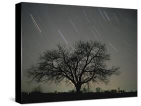 Star Trails, 20 Minutes Exposure Time, Pusztaszer, Hungary-Bence Mate-Stretched Canvas