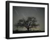 Star Trails, 20 Minutes Exposure Time, Pusztaszer, Hungary-Bence Mate-Framed Photographic Print