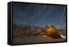 Star Trails Above a Campsite in Anza Borrego Desert State Park, California-null-Framed Stretched Canvas