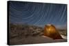 Star Trails Above a Campsite in Anza Borrego Desert State Park, California-null-Stretched Canvas