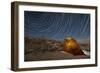 Star Trails Above a Campsite in Anza Borrego Desert State Park, California-null-Framed Photographic Print