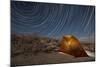 Star Trails Above a Campsite in Anza Borrego Desert State Park, California-null-Mounted Photographic Print