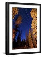 Star Trails Above Campfire Lit Pine Trees in Lassen Volcanic National Park-null-Framed Premium Photographic Print