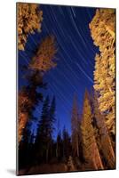 Star Trails Above Campfire Lit Pine Trees in Lassen Volcanic National Park-null-Mounted Photographic Print