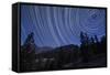 Star Trails Above Mountain Peaks Near Yosemite National Park, California-null-Framed Stretched Canvas