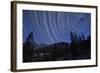 Star Trails Above Mountain Peaks Near Yosemite National Park, California-null-Framed Photographic Print