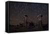 Star Trails Above Sand Tufa Formations at Mono Lake, California-null-Framed Stretched Canvas