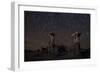 Star Trails Above Sand Tufa Formations at Mono Lake, California-null-Framed Photographic Print