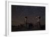 Star Trails Above Sand Tufa Formations at Mono Lake, California-null-Framed Photographic Print