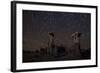 Star Trails Above Sand Tufa Formations at Mono Lake, California-null-Framed Photographic Print