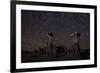 Star Trails Above Sand Tufa Formations at Mono Lake, California-null-Framed Photographic Print