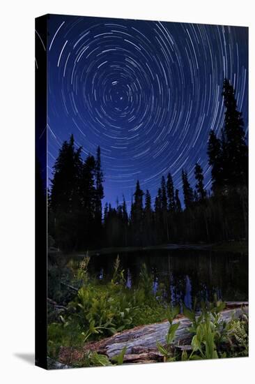 Star Trails Above Summit Lake in Lassen Volcanic National Park, California-null-Stretched Canvas