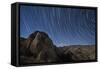 Star Trails Above the San Ysidro Mountains, California-null-Framed Stretched Canvas