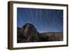 Star Trails Above the San Ysidro Mountains, California-null-Framed Photographic Print