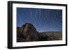 Star Trails Above the San Ysidro Mountains, California-null-Framed Photographic Print