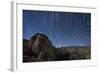 Star Trails Above the San Ysidro Mountains, California-null-Framed Photographic Print