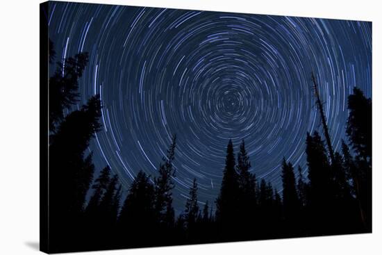 Star Trails and a Meteor Above Pine Trees in Lassen Volcanic National Park-null-Stretched Canvas