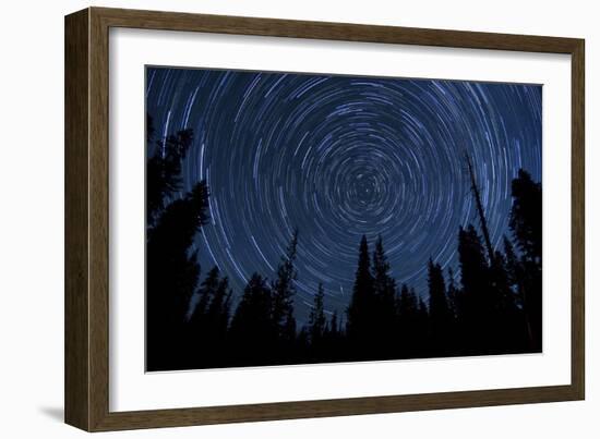 Star Trails and a Meteor Above Pine Trees in Lassen Volcanic National Park-null-Framed Photographic Print