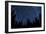 Star Trails and a Meteor Above Pine Trees in Lassen Volcanic National Park-null-Framed Photographic Print