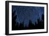 Star Trails and a Meteor Above Pine Trees in Lassen Volcanic National Park-null-Framed Photographic Print