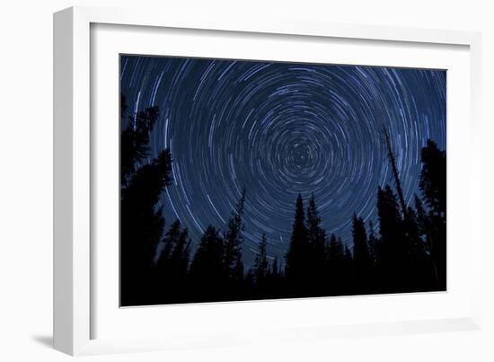 Star Trails and a Meteor Above Pine Trees in Lassen Volcanic National Park-null-Framed Photographic Print