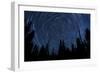 Star Trails and a Meteor Above Pine Trees in Lassen Volcanic National Park-null-Framed Photographic Print