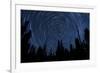 Star Trails and a Meteor Above Pine Trees in Lassen Volcanic National Park-null-Framed Photographic Print