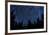 Star Trails and a Meteor Above Pine Trees in Lassen Volcanic National Park-null-Framed Photographic Print