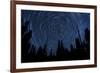 Star Trails and a Meteor Above Pine Trees in Lassen Volcanic National Park-null-Framed Photographic Print