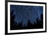 Star Trails and a Meteor Above Pine Trees in Lassen Volcanic National Park-null-Framed Photographic Print