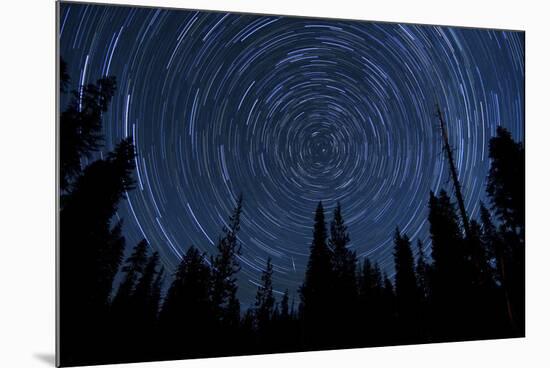 Star Trails and a Meteor Above Pine Trees in Lassen Volcanic National Park-null-Mounted Photographic Print