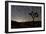 Star Trails and Joshua Trees in Joshua Tree National Park, California-null-Framed Premium Photographic Print