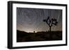 Star Trails and Joshua Trees in Joshua Tree National Park, California-null-Framed Premium Photographic Print