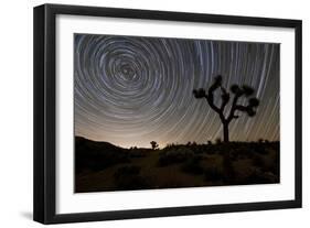 Star Trails and Joshua Trees in Joshua Tree National Park, California-null-Framed Photographic Print