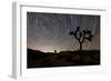 Star Trails and Joshua Trees in Joshua Tree National Park, California-null-Framed Photographic Print