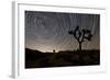 Star Trails and Joshua Trees in Joshua Tree National Park, California-null-Framed Photographic Print