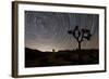 Star Trails and Joshua Trees in Joshua Tree National Park, California-null-Framed Photographic Print