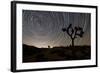 Star Trails and Joshua Trees in Joshua Tree National Park, California-null-Framed Photographic Print